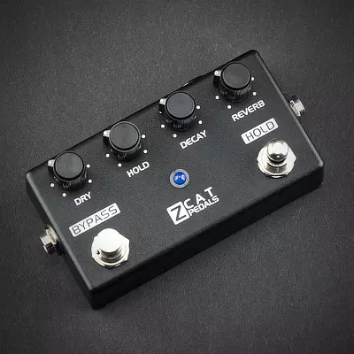 ZCAT Hold-Delay-Chorus u0026 Hold-Reverb